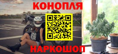 spice Аргун