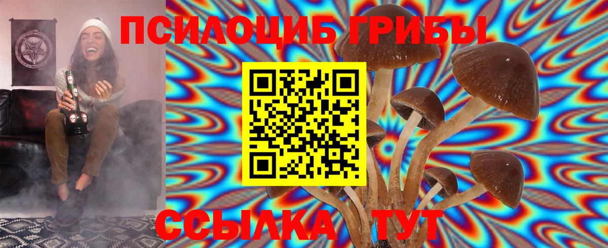 Псилоцибиновые грибы Psilocybine cubensis  Вход с VPN  Волжск 